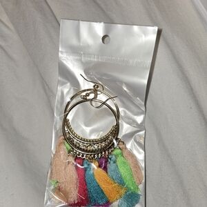 Colorful Tassel Hoop Earrings